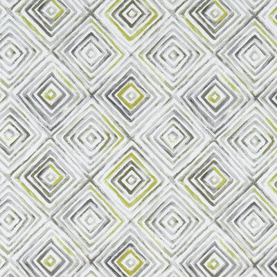 F1359/01-CAC OTIS CHARTREUSE/CHARCOAL CLARKE AND CLARKE Fabrics Drapery Upholstery