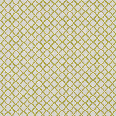 F1364/03-CAC ARIYANA CHARTREUSE CLARKE AND CLARKE Fabrics Drapery Upholstery