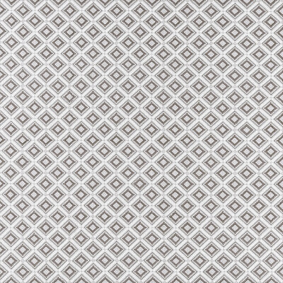 F1448/02-CAC PARAGON SILVER CLARKE AND CLARKE Fabrics Drapery Upholstery