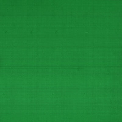 F1473/06-CAC SLYPH FERN CLARKE AND CLARKE DRAPERY