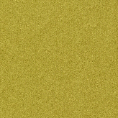 F1511/07-CAC MIAMI CHARTREUSE CLARKE AND CLARKE DRAPERY