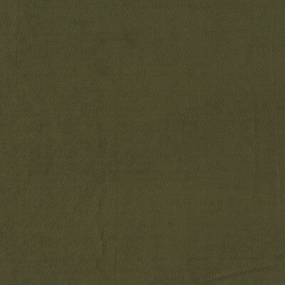 F1511/08-CAC MIAMI CHIVE CLARKE AND CLARKE DRAPERY