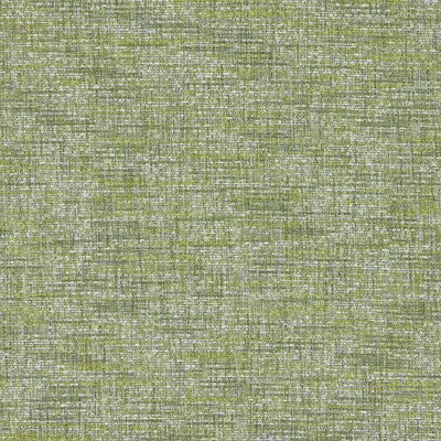 F1642/04-CAC CETARA CITRUS CLARKE AND CLARKE UPHOLSTERY