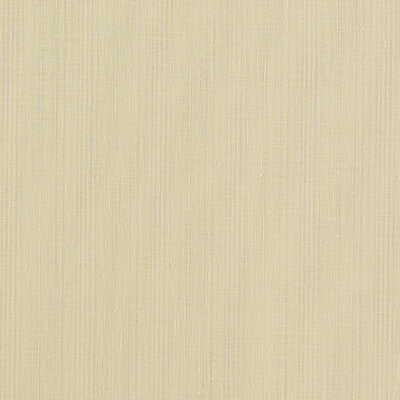 F1665/10-CAC REMO RAFFIA CLARKE AND CLARKE DRAPERY