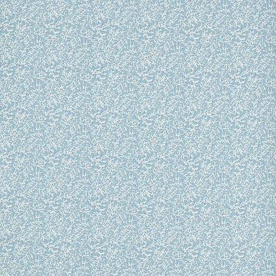 F1729/01-CAC SEABED CLOUD CLARKE AND CLARKE Fabrics Drapery Upholstery