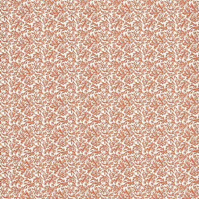 F1729/02-CAC SEABED CORAL CLARKE AND CLARKE Fabrics Drapery Upholstery