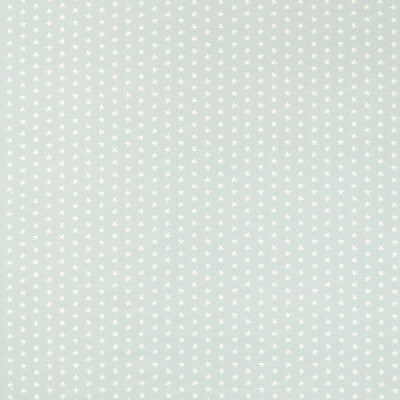 F1730/02-CAC SEASTAR MINERAL CLARKE AND CLARKE Fabrics Drapery Upholstery
