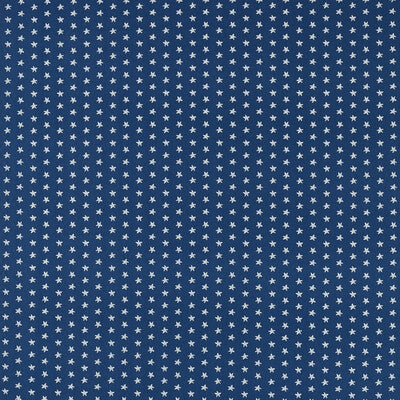 F1730/04-CAC SEASTAR NAVY CLARKE AND CLARKE Fabrics Drapery Upholstery