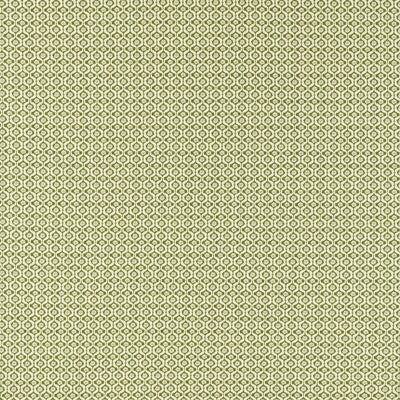 F1735/05-CAC GIVERNY SAGE CLARKE AND CLARKE Fabrics Drapery Upholstery