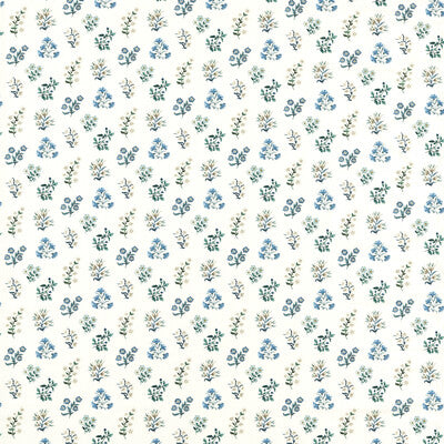 F1736/03-CAC LEIDEN DENIM CLARKE AND CLARKE Fabrics Drapery Upholstery