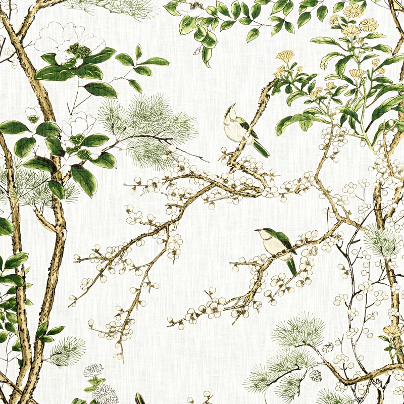 F913621 Thibaut Green and White Fabric