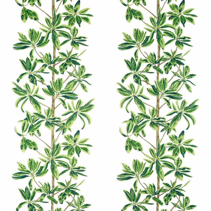 F945035 Thibaut Green and White Fabric