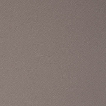 FN8101 Maxwell FAUX LEATHER # 101 TAUPE FLEXA
