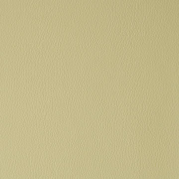 FN8105 Maxwell FAUX LEATHER # 105 SPROUT FLEXA