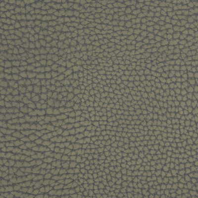 FORGETFUL-21 FORGETFUL GREYSTONE KRAVET COUTURE UPHOLSTERY