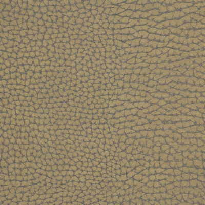 FORGETFUL-6 FORGETFUL STONE KRAVET COUTURE UPHOLSTERY