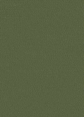 FORTUNE-30 KRAVET DESIGN FORTUNE-30 KRAVET DESIGN UPHOLSTERY