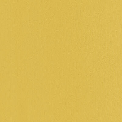 FORZA-4 FORZA DANDELION KRAVET CONTRACT UPHOLSTERY