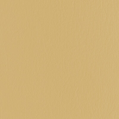 FORZA-416 FORZA BUTTERSCOTCH KRAVET CONTRACT UPHOLSTERY