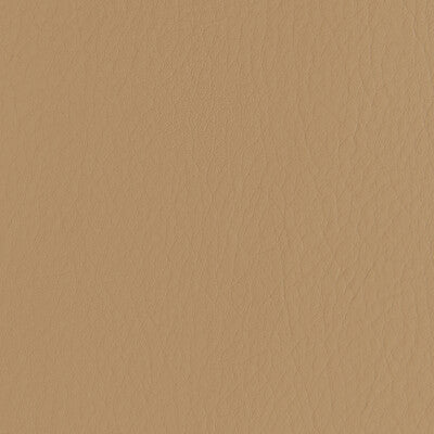FORZA-6116 FORZA CARAMEL KRAVET CONTRACT UPHOLSTERY