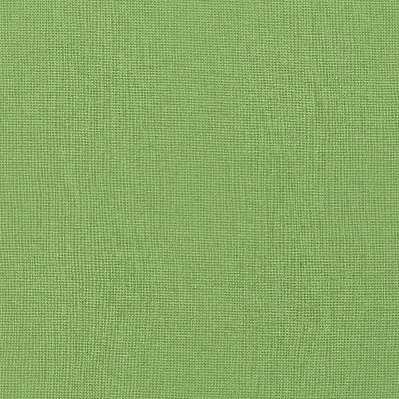 FWW7653 Thibaut Grass Fabric
