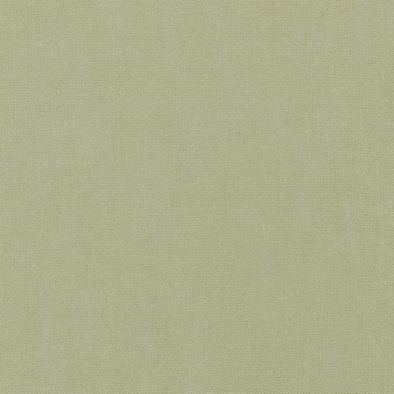 FWW7655 Thibaut Moss Fabric