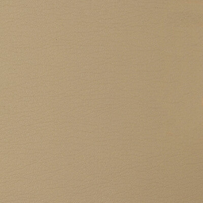 GATO-1416 KRAVET DESIGN GATO-1416 KRAVET DESIGN UPHOLSTERY