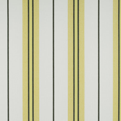 GDT5310-001 BURANO ONYX/AMARILLO GASTON Y DANIELA DRAPERY
