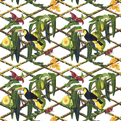 GDT5539-002 TUCAN FONDO BLANCO GASTON Y DANIELA Fabrics Drapery Upholstery