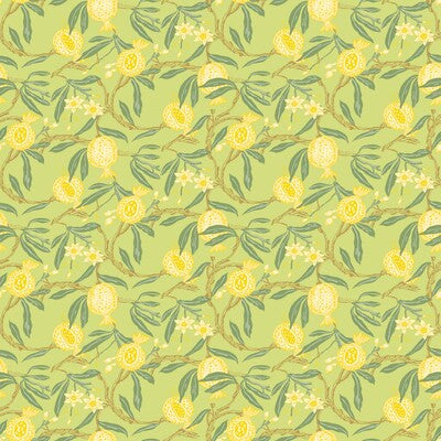 GDW5439-004 GRANADAS AMARILLO GASTON Y DANIELA Wallpaper