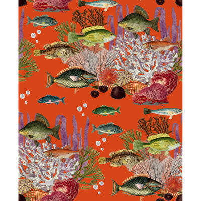 GDW5663-002 CORALES QUISQUILLA GASTON Y DANIELA Wallpaper