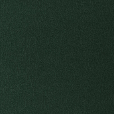 GILLIAN-30 KRAVET DESIGN GILLIAN-30 KRAVET DESIGN UPHOLSTERY