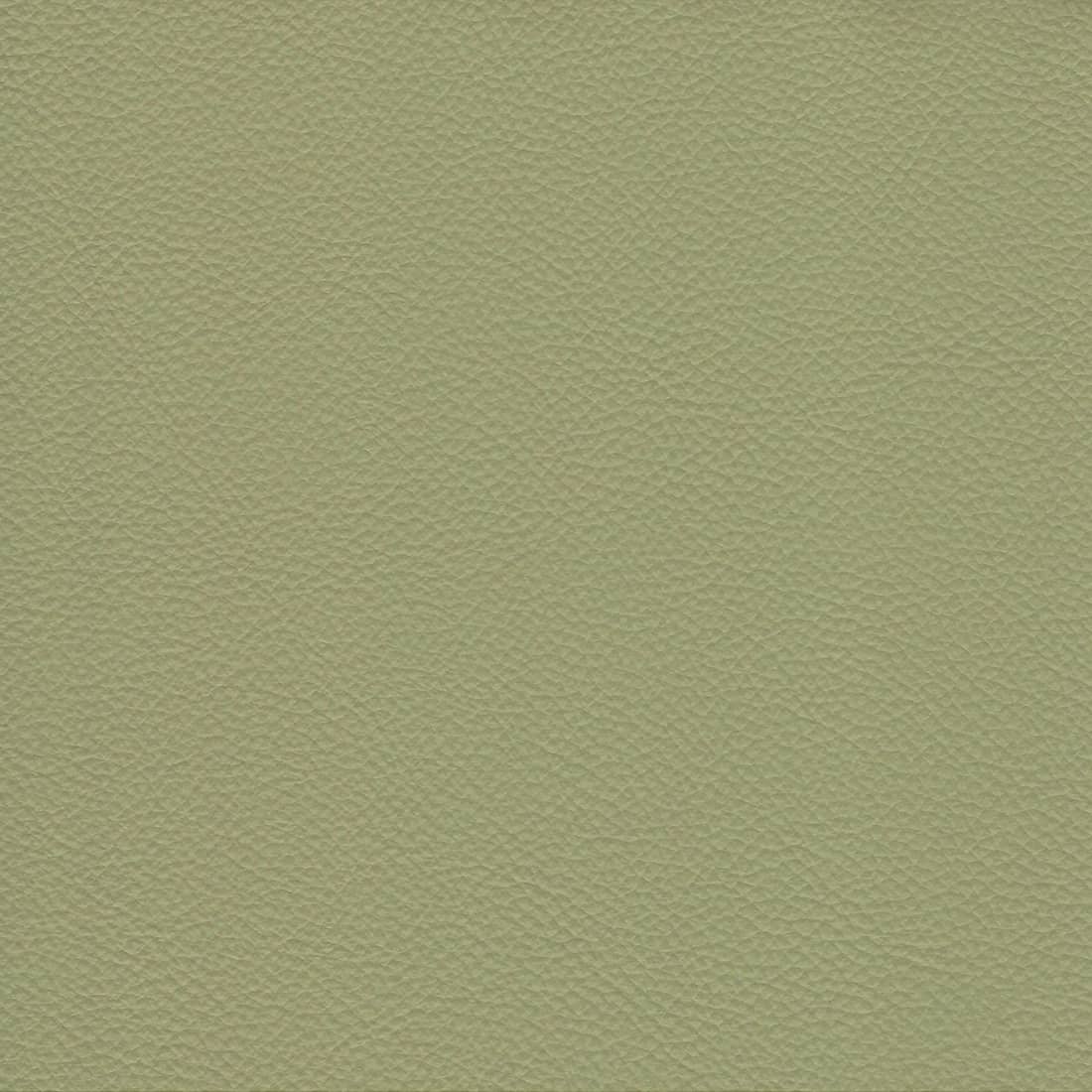 Gilbert Fern Matte,Plain Green Charlotte Fabrics Genuine Leather