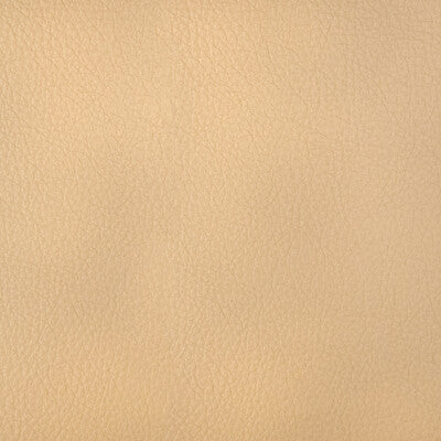 HARMONY-11 KRAVET DESIGN HARMONY-11 KRAVET DESIGN UPHOLSTERY