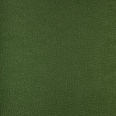 HARMONY-33 KRAVET DESIGN HARMONY-33 KRAVET DESIGN UPHOLSTERY