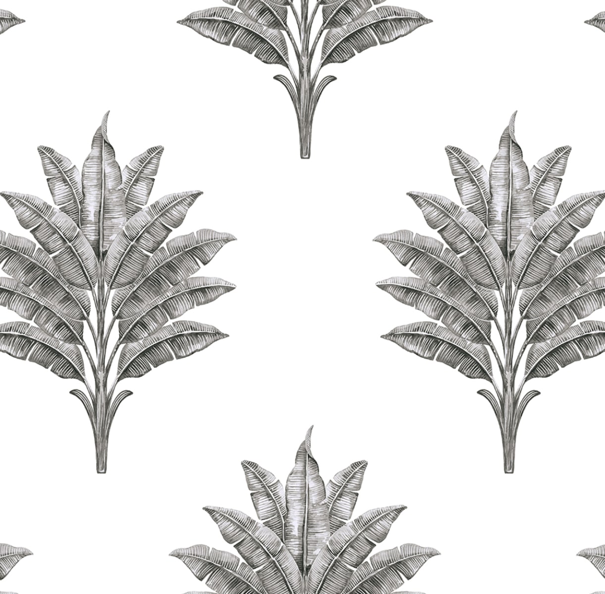 HG10600 Harry & Grace Harry & Grace Peel and Stick Wallpaper Sea Breeze Palm Charcoal
