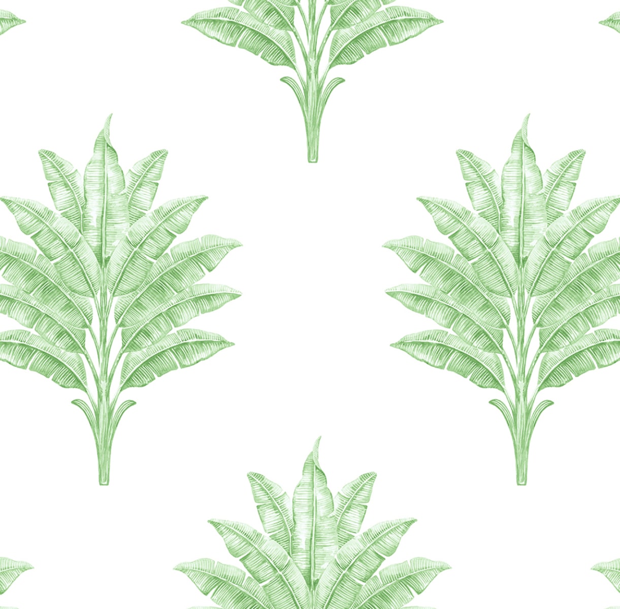 HG10604 Harry & Grace Harry & Grace Peel and Stick Wallpaper Sea Breeze Palm Greenery
