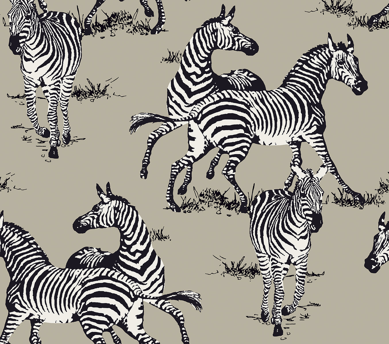 HG11110 Harry & Grace Harry & Grace Peel and Stick Wallpaper Playful Zebras Pavestone
