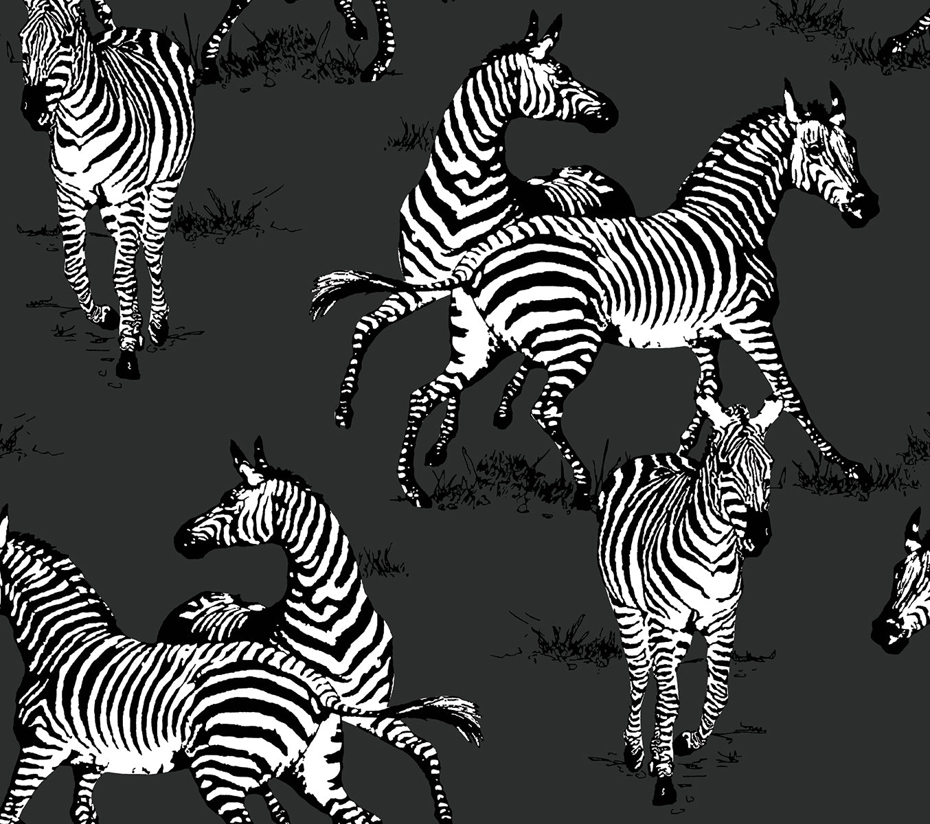 HG11120 Harry & Grace Harry & Grace Peel and Stick Wallpaper Playful Zebras Charcoal