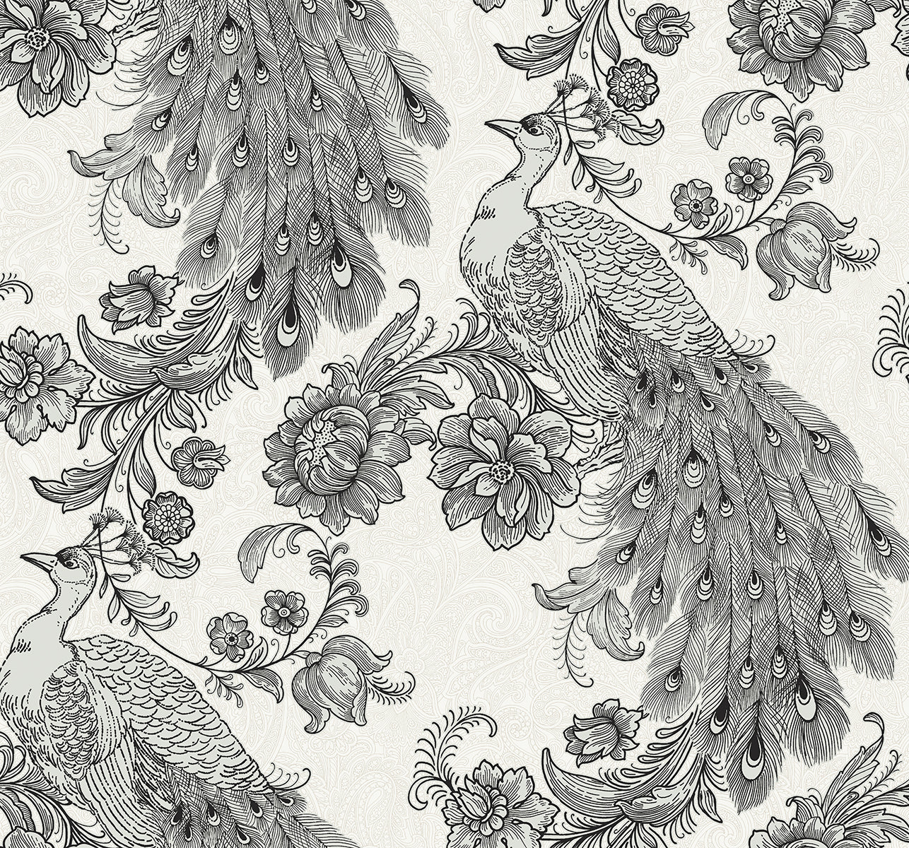 HG12200 Harry & Grace Harry & Grace Peel and Stick Wallpaper Peacock Ivory & Ebony