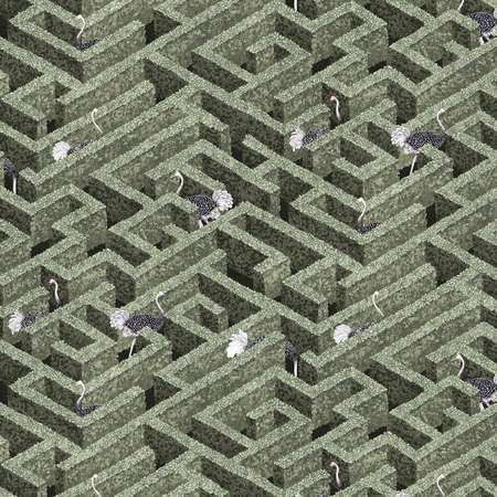JMW1010-01 Labyrinth With Ostriches 01 Kravet Wallpaper
