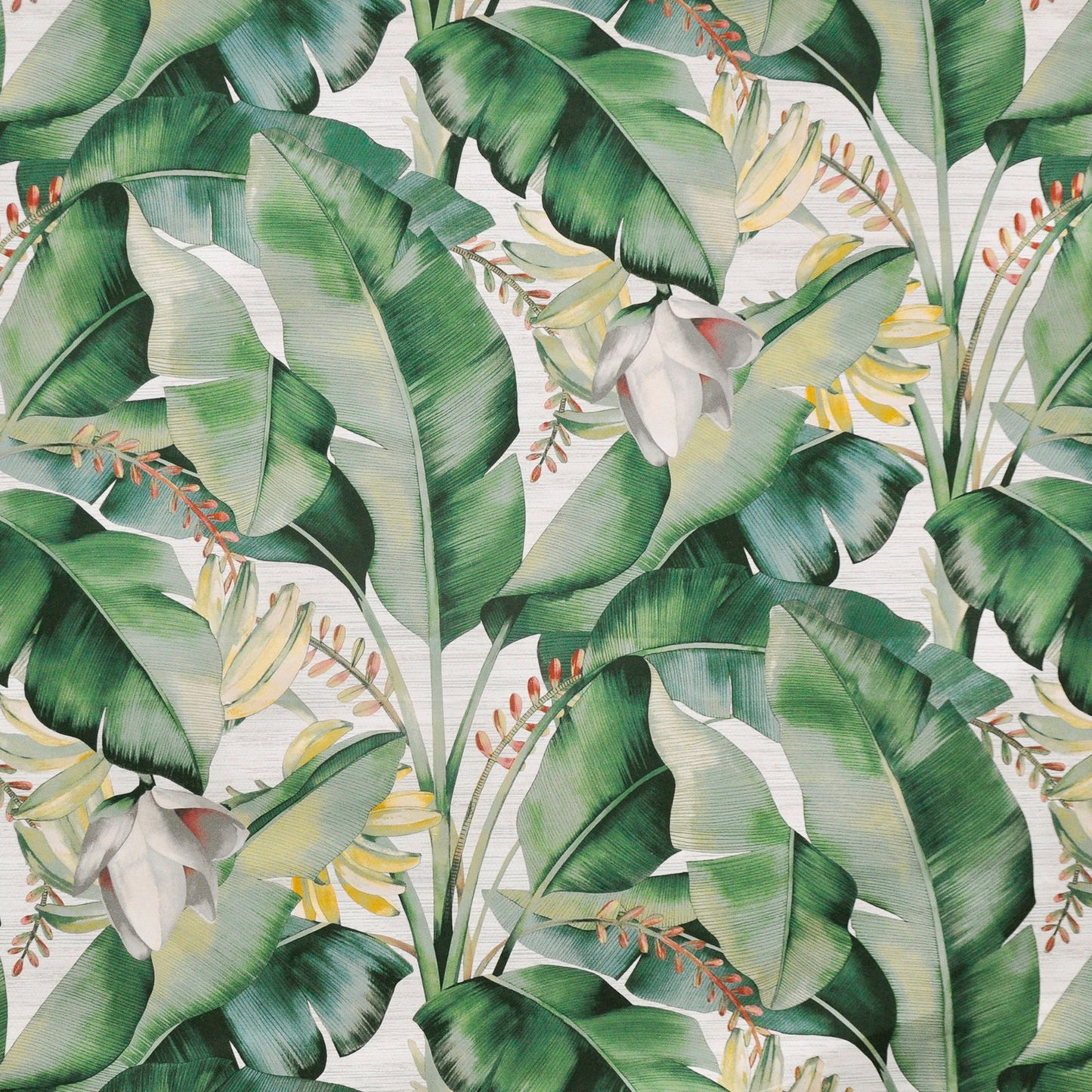 K94521 Maxwell PRINTS # 521 ALOE PRINTGALLERY
