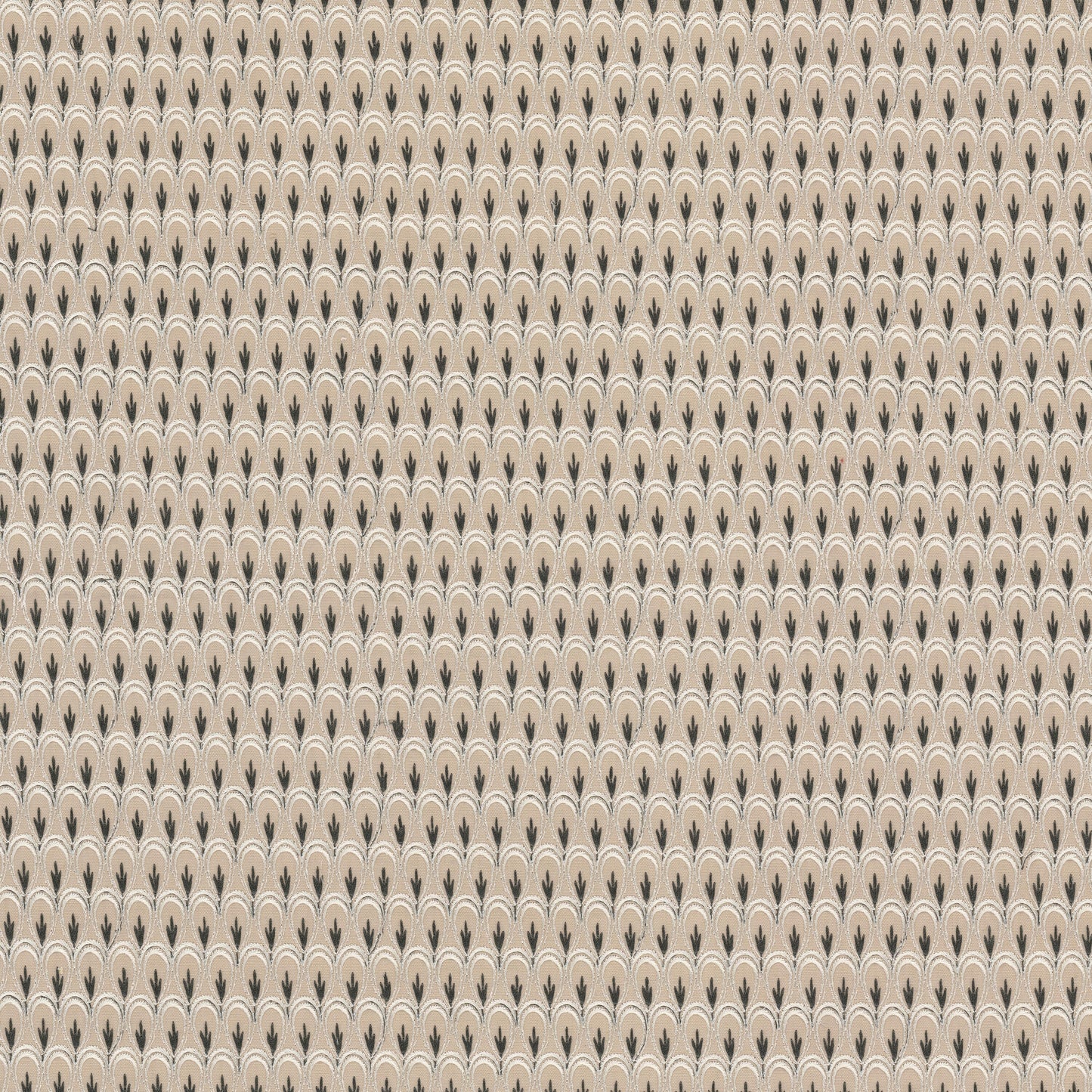 KAIA Stout Multi-Purpose