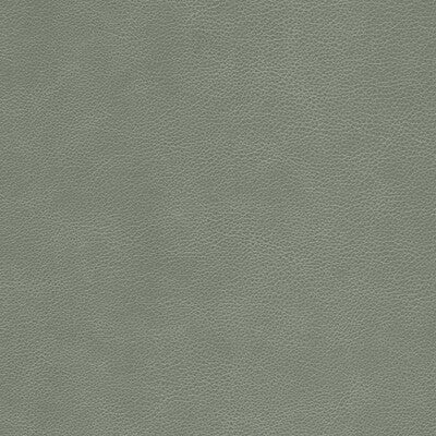 L-CIMARRON-ELEPHANT KRAVET DESIGN L-CIMARRON-ELEPHANT KRAVET DESIGN UPHOLSTERY