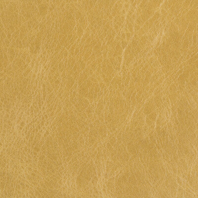 L-DAVOS-SAP KRAVET COUTURE L-DAVOS-SAP KRAVET COUTURE UPHOLSTERY