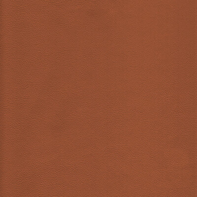 L-HOWDY-TOFFEE KRAVET DESIGN L-HOWDY-TOFFEE KRAVET DESIGN UPHOLSTERY
