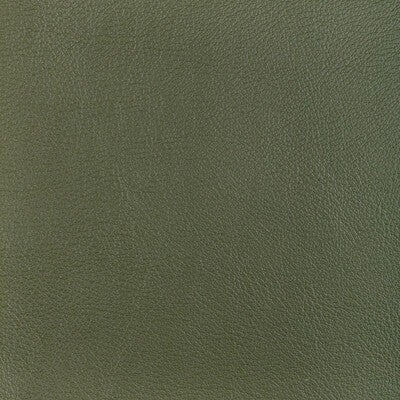 L-OCOTILLO-HUNTER KRAVET DESIGN L-OCOTILLO-HUNTER KRAVET DESIGN UPHOLSTERY