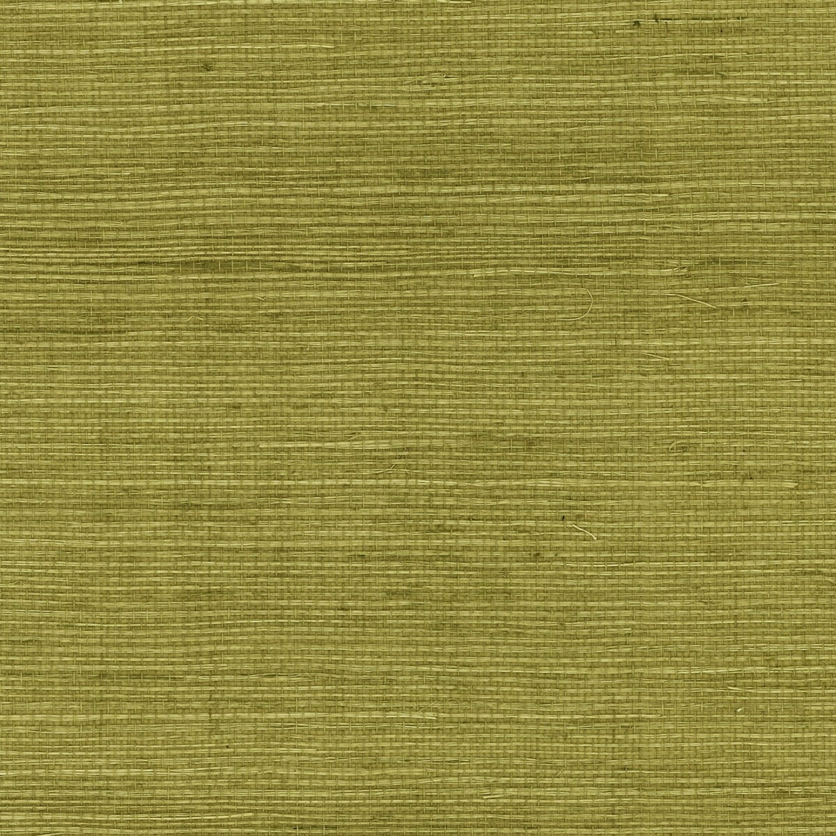 LN11804 Lillian August Lillian August Grasscloth Binder Wallpaper Sisal Olive