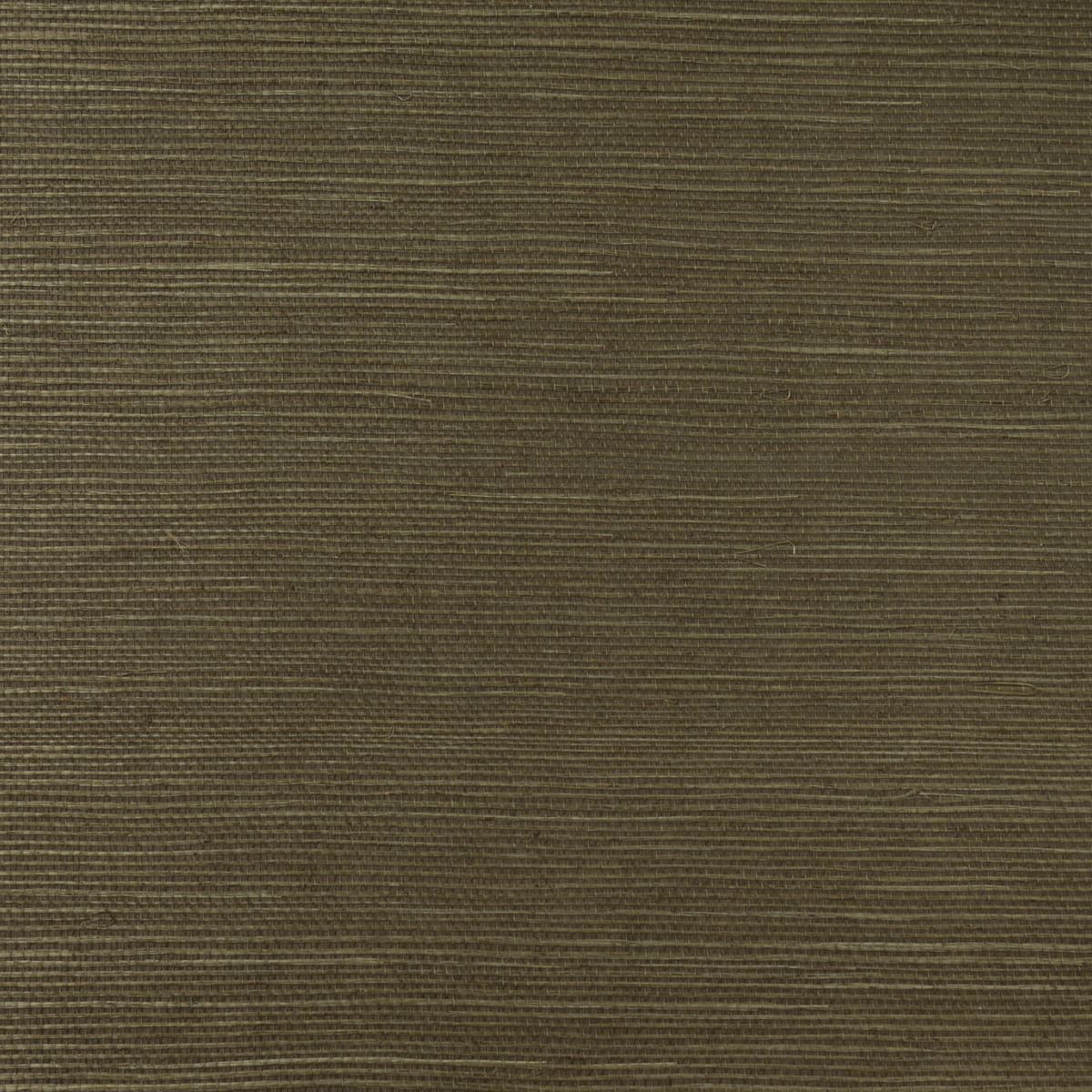 LN11837 Lillian August Lillian August Grasscloth Binder Wallpaper Sisal Elmwood