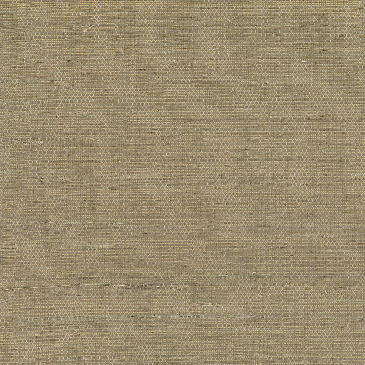 LN11872 Lillian August Lillian August Grasscloth Binder Wallpaper Sisal Sandstorm